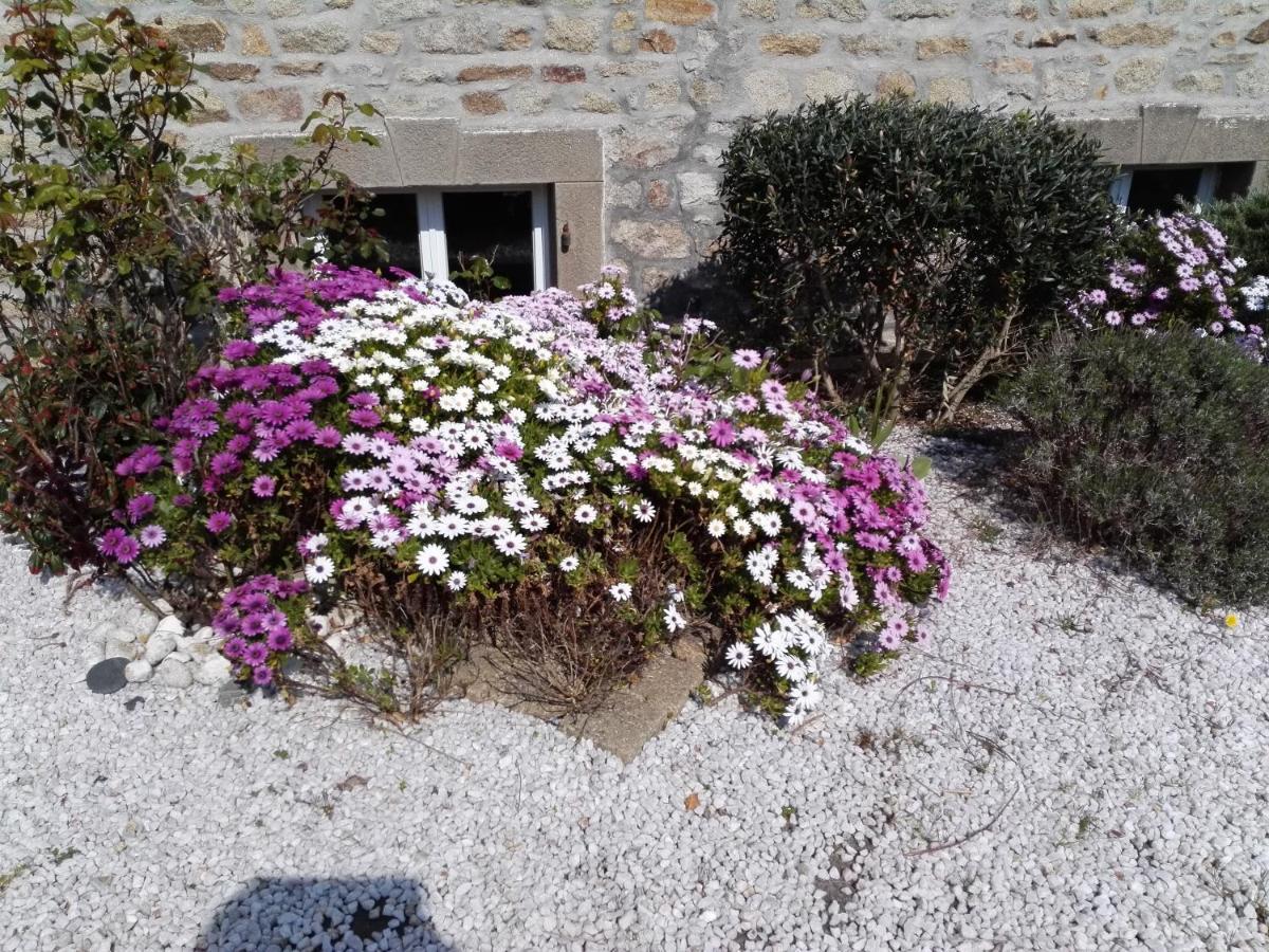 Izella Bed & Breakfast Douarnenez Exterior photo